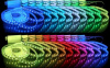 LED лента DQ-RT 5050-RGB30 (мультицвет)