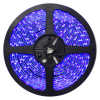 LED лента светодиод. герметич. в силик. синяя SMD 211004